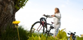 Årets cykelturismeløsning 2016