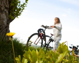 Årets cykelturismeløsning 2016